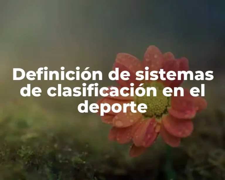Definición de sistemas de clasificación en el deporte