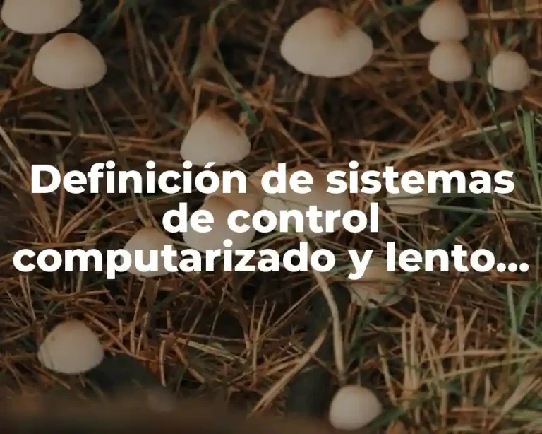 Definición de sistemas de control computarizado y lento automotriz