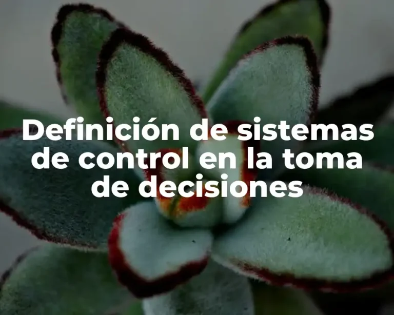 Definición de sistemas de control en la toma de decisiones