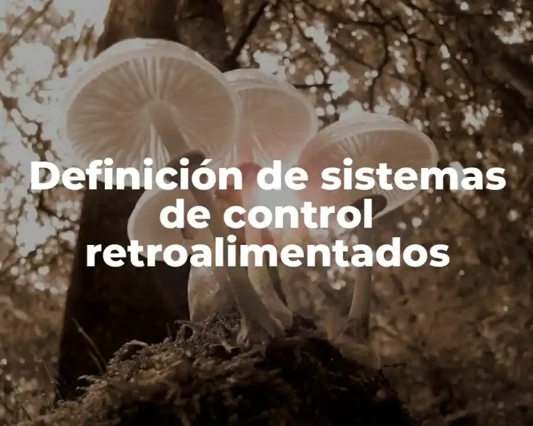 Definición de sistemas de control retroalimentados