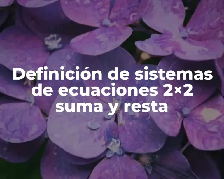Definición de sistemas de ecuaciones 2×2 suma y resta