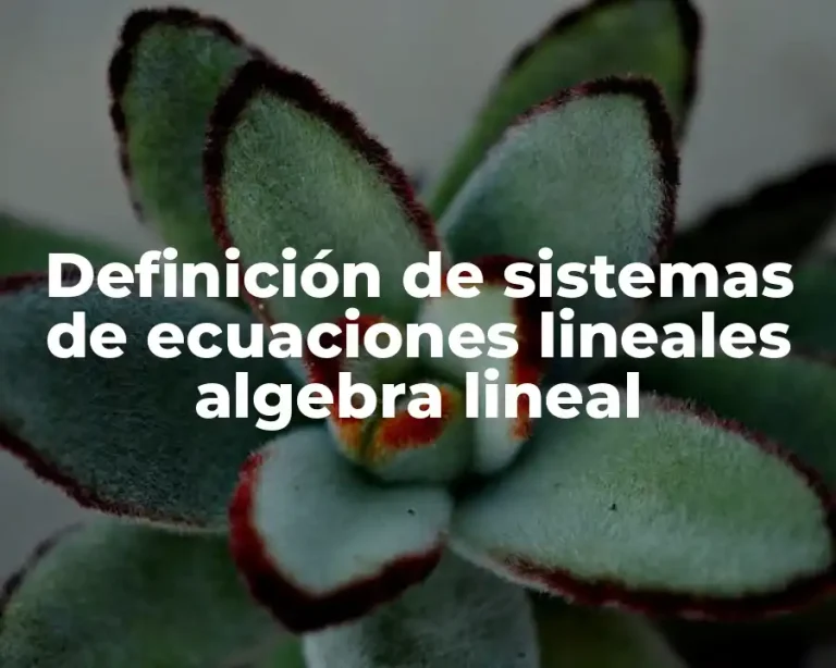 Definición de sistemas de ecuaciones lineales algebra lineal