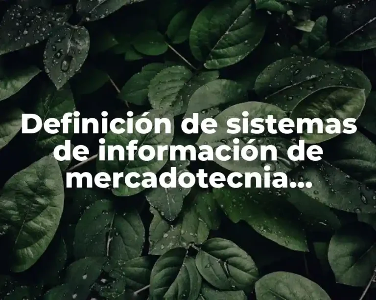 Definición de sistemas de información de mercadotecnia elementos