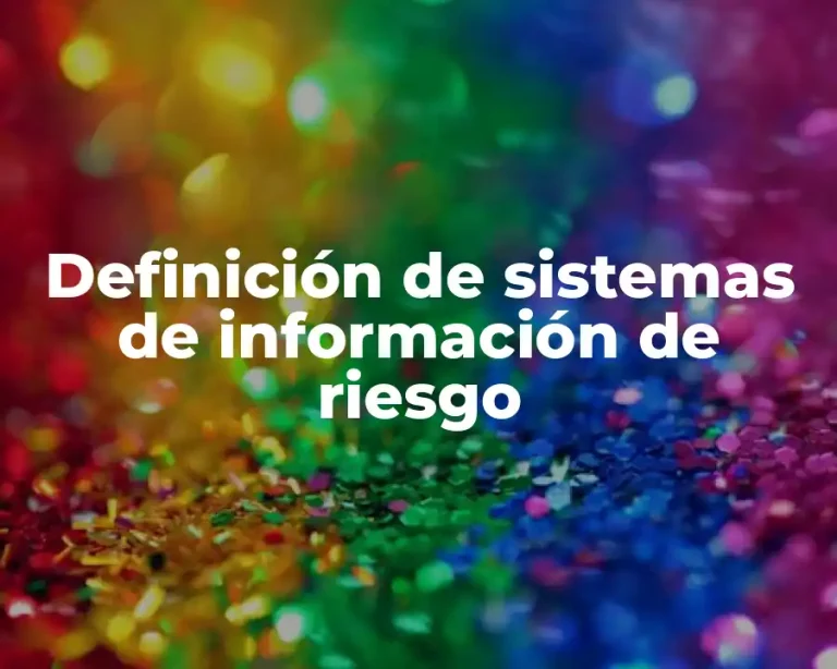 Definición de sistemas de información de riesgo