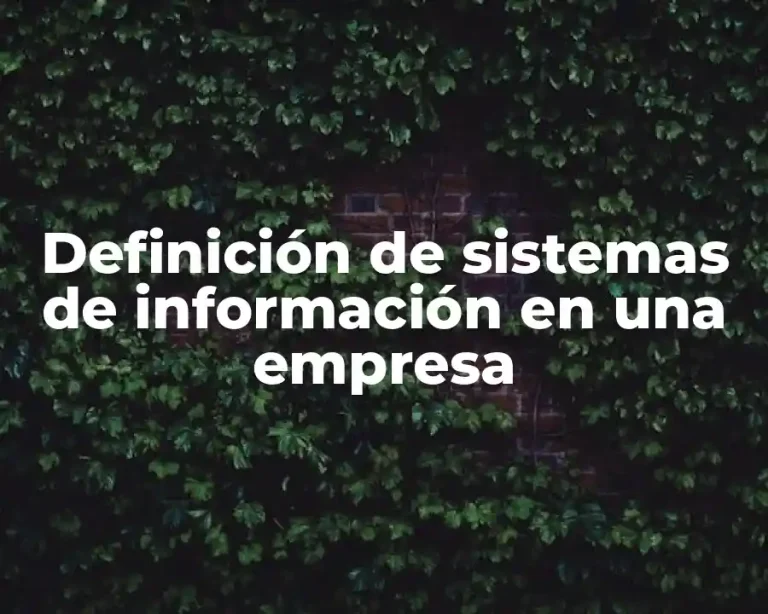 Definición de sistemas de información en una empresa