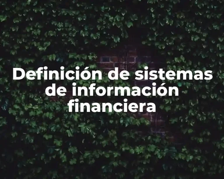Definición de sistemas de información financiera