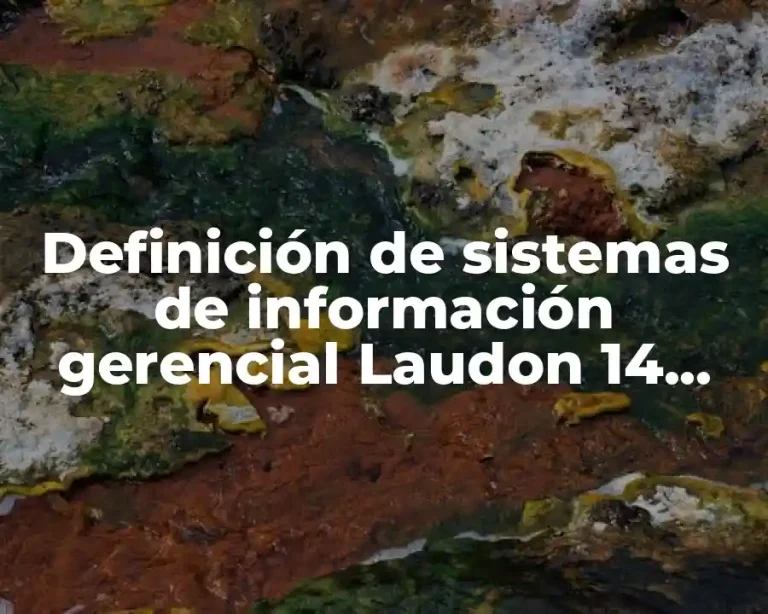 Definición de sistemas de información gerencial Laudon 14 edición