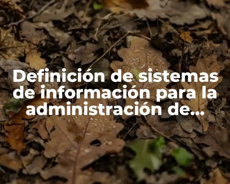Definición de sistemas de información para la administración de mantenimiento