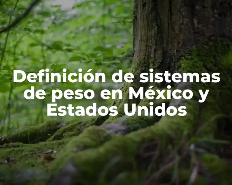 Definición de sistemas de peso en México y Estados Unidos