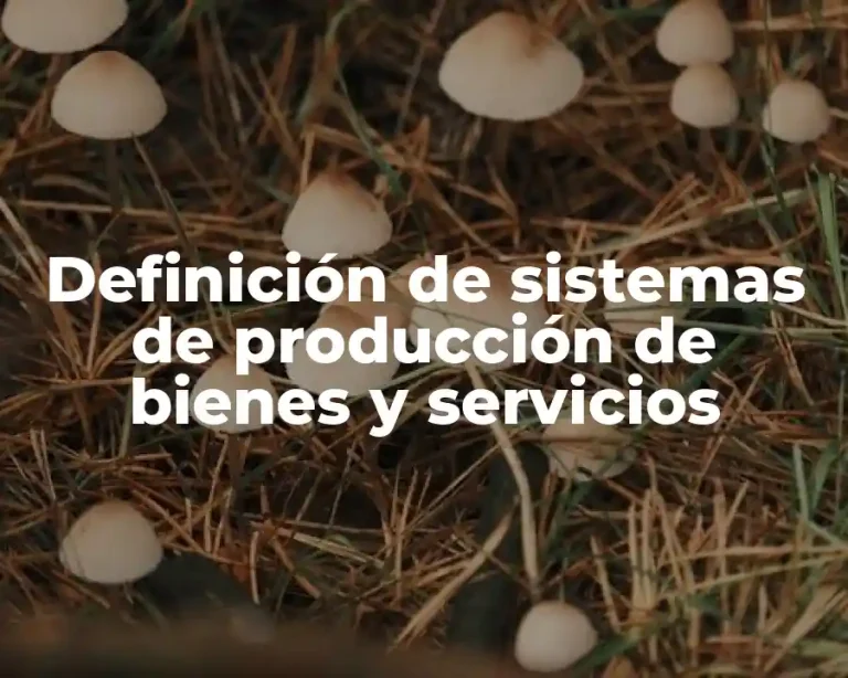 Definición de sistemas de producción de bienes y servicios