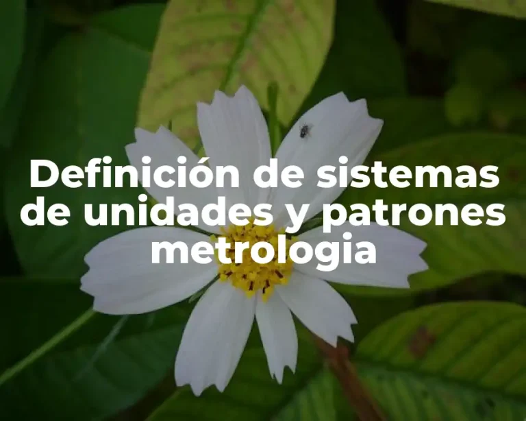 Definición de sistemas de unidades y patrones metrologia