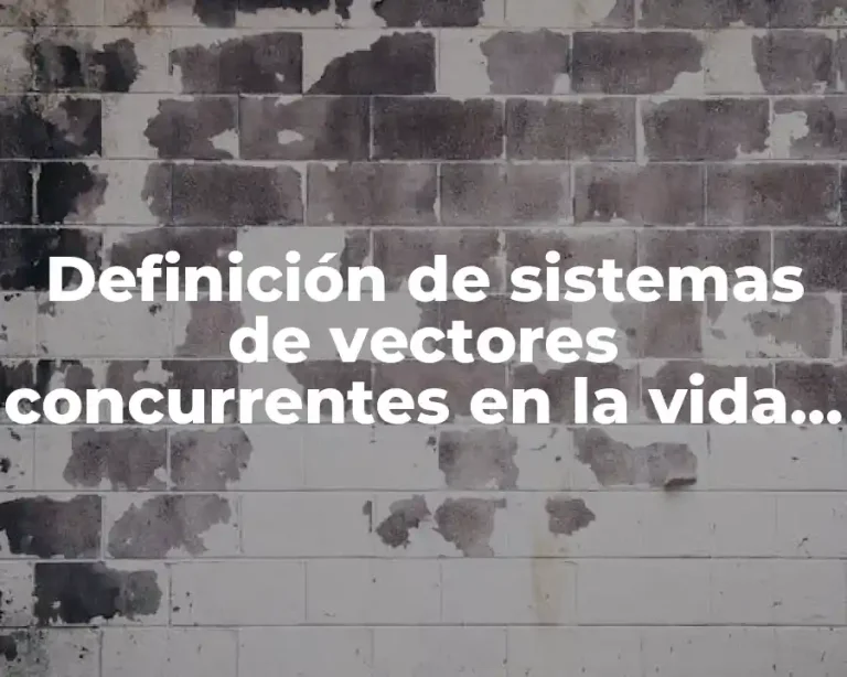 Definición de sistemas de vectores concurrentes en la vida real