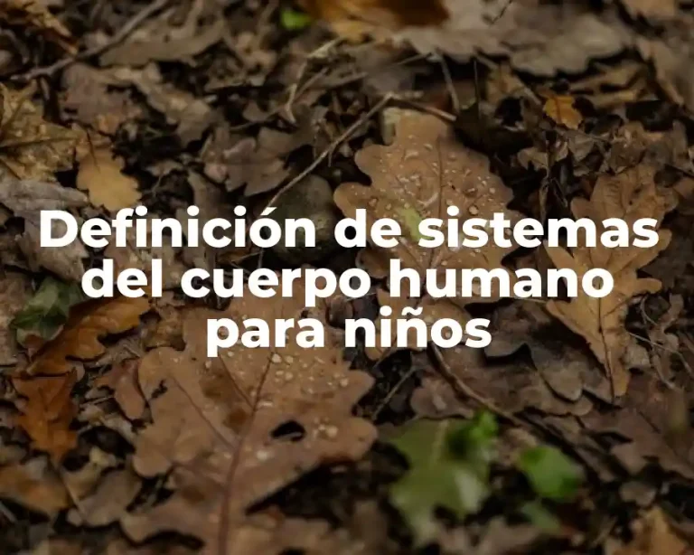 Definición de sistemas del cuerpo humano para niños