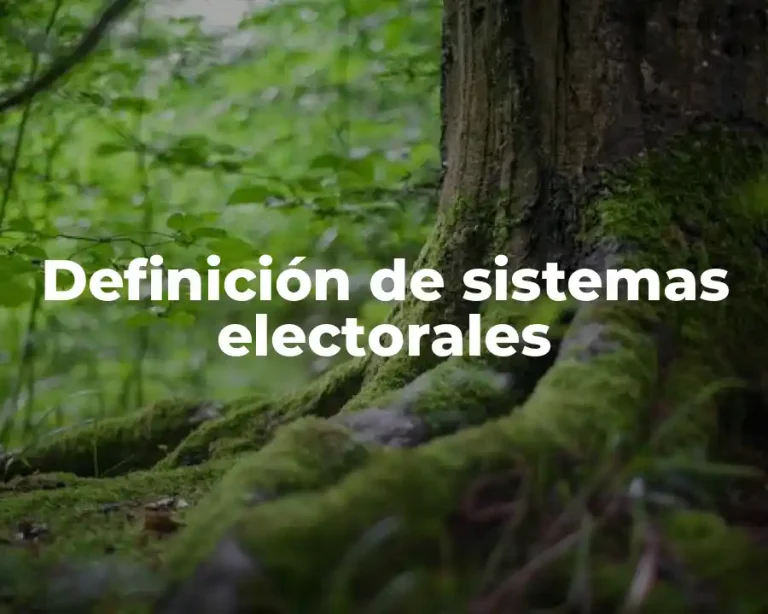 Definición de sistemas electorales