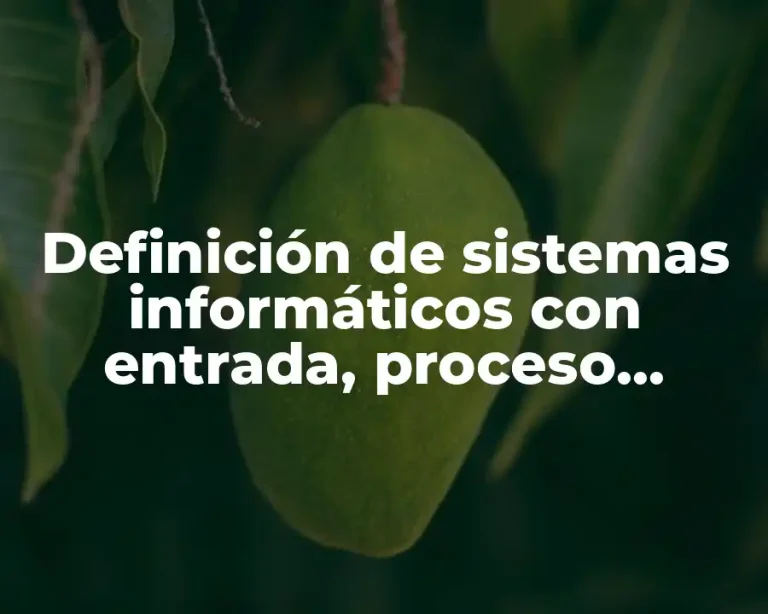 Definición de sistemas informáticos con entrada, proceso, almacenamiento y salida