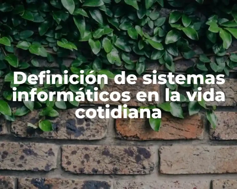 Definición de sistemas informáticos en la vida cotidiana