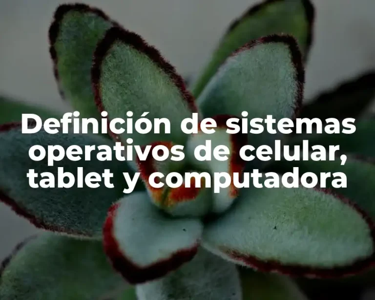 Definición de sistemas operativos de celular, tablet y computadora