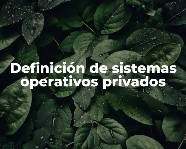 Definición de sistemas operativos privados