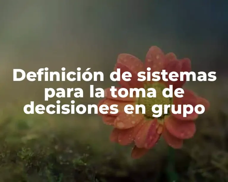 Definición de sistemas para la toma de decisiones en grupo