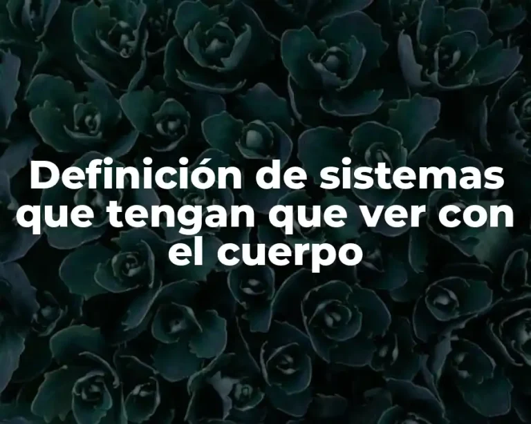Definición de sistemas que tengan que ver con el cuerpo
