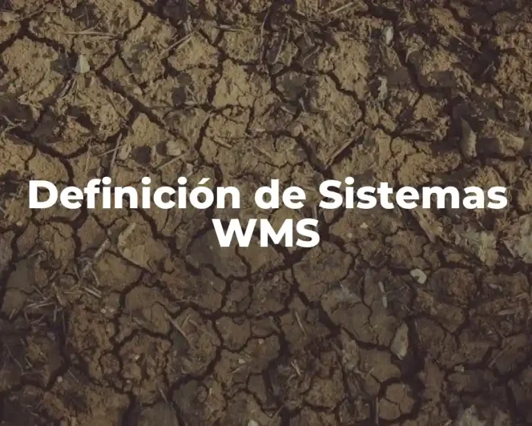 Definición de Sistemas WMS