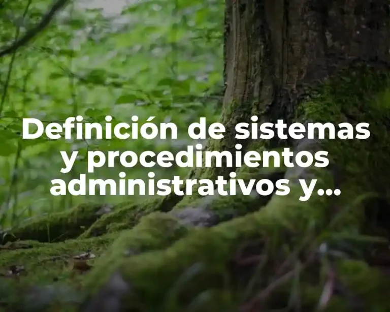 Definición de sistemas y procedimientos administrativos y contables