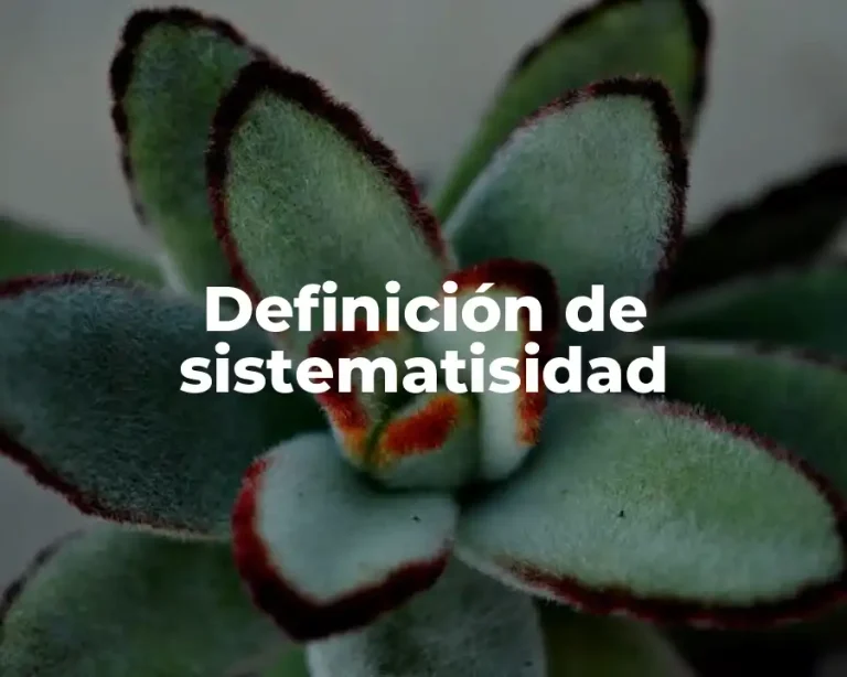 Definición de sistematisidad
