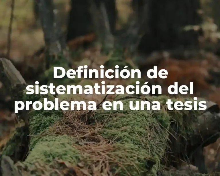 Definición de sistematización del problema en una tesis