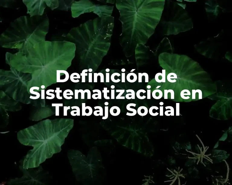Definición de Sistematización en Trabajo Social