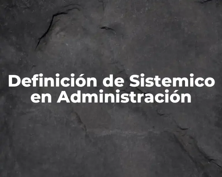 Definición de Sistemico en Administración