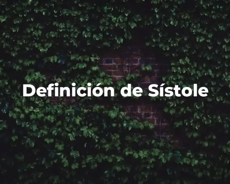 Definición de Sístole