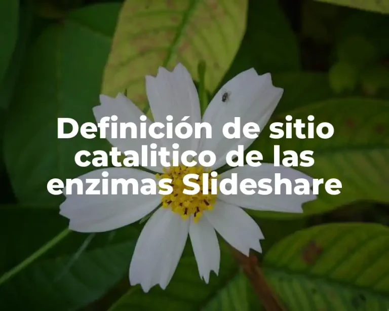 Definición de sitio catalitico de las enzimas Slideshare