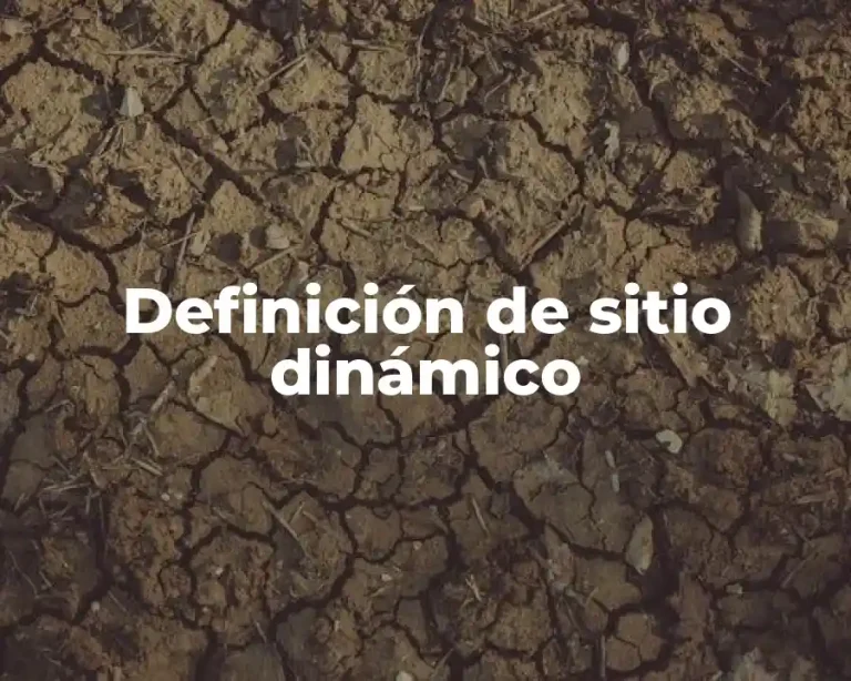 Definición de sitio dinámico