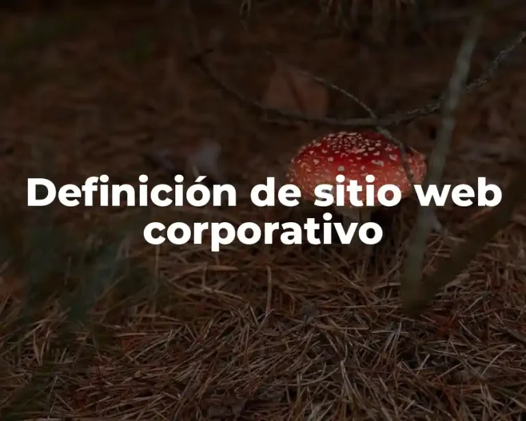 Definición de sitio web corporativo