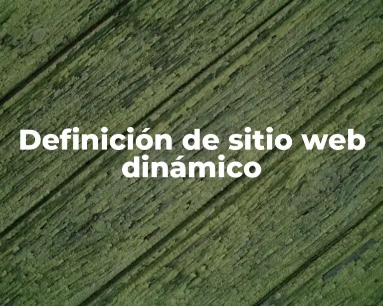 Definición de sitio web dinámico