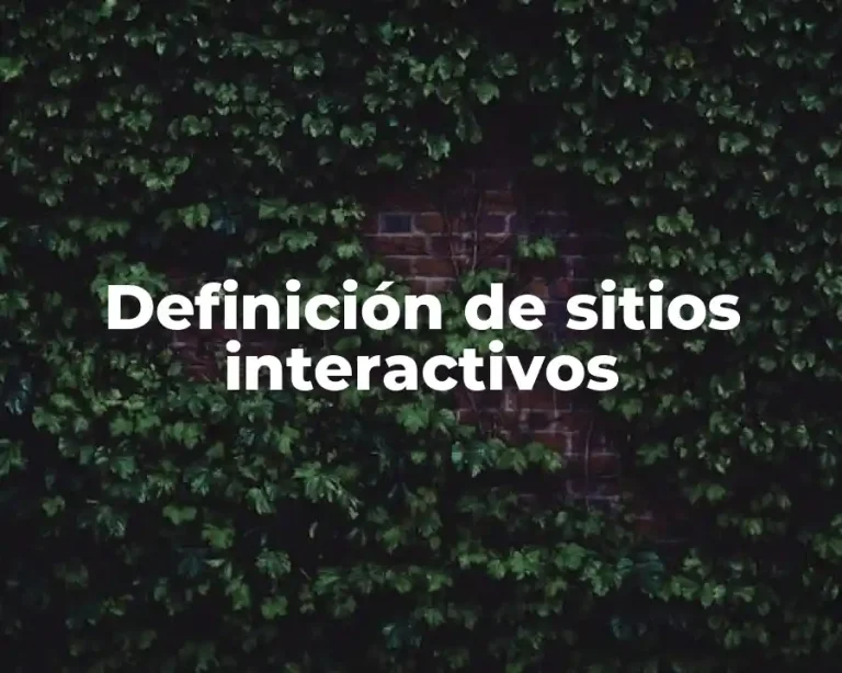 Definición de sitios interactivos