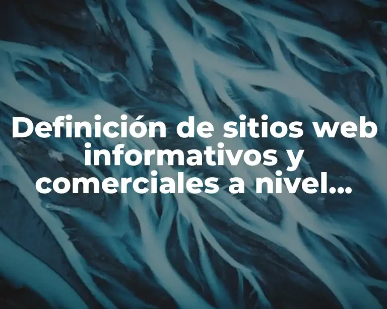 Definición de sitios web informativos y comerciales a nivel internacional