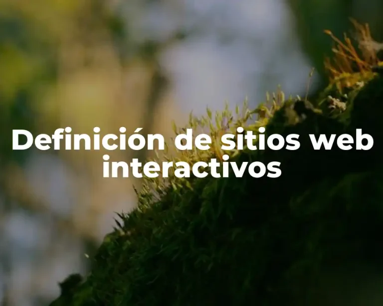 Definición de sitios web interactivos