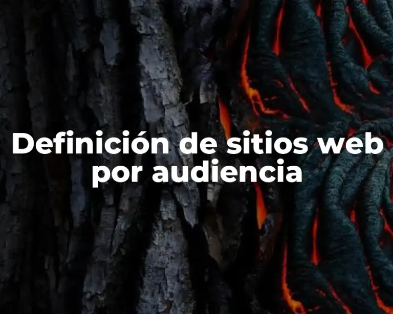Definición de sitios web por audiencia