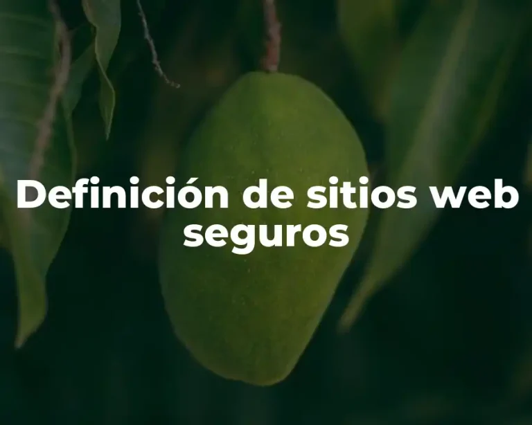 Definición de sitios web seguros