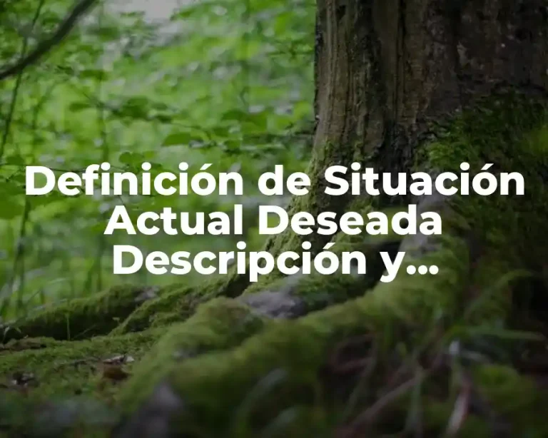 Definición de Situación Actual Deseada Descripción y Necesidad