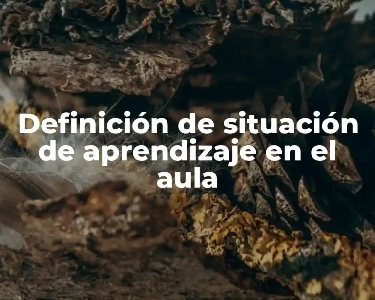 Definición de situación de aprendizaje en el aula