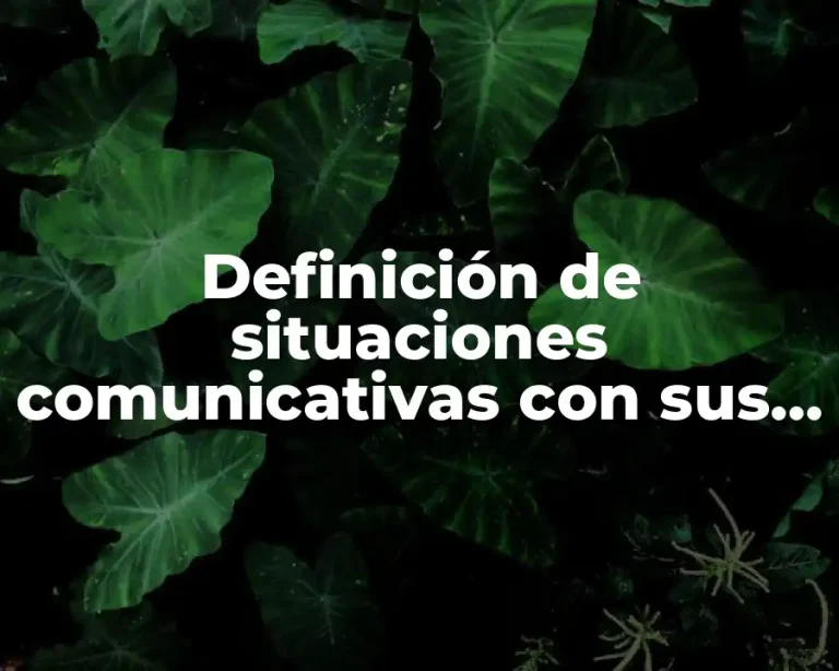 Definición de situaciones comunicativas con sus elementos