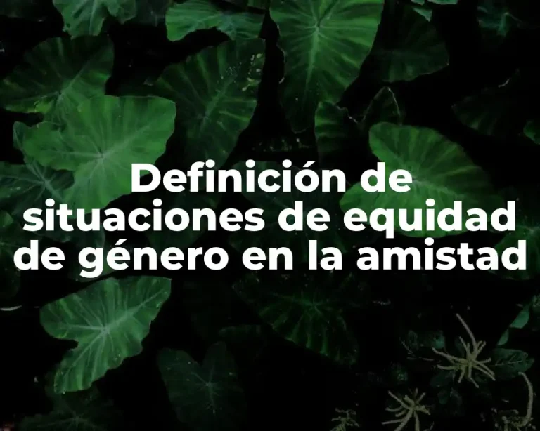 Definición de situaciones de equidad de género en la amistad