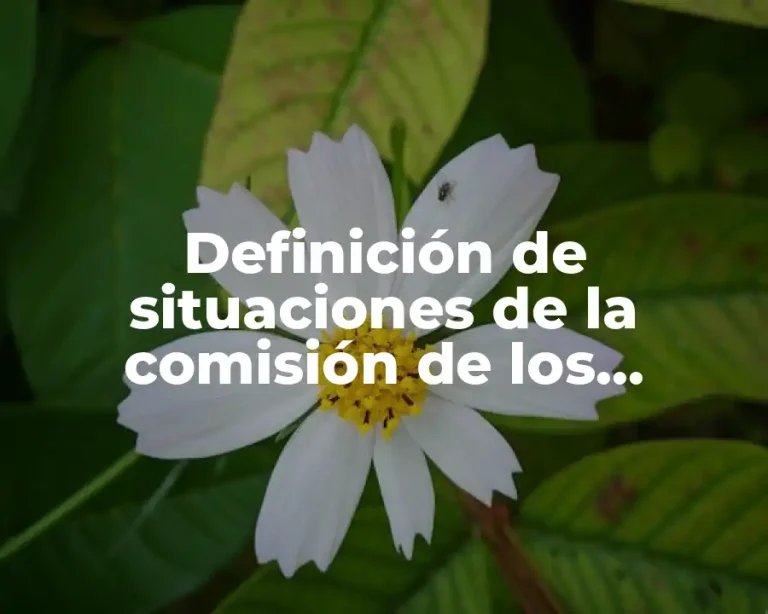 Definición de situaciones de la comisión de los derechos humanos