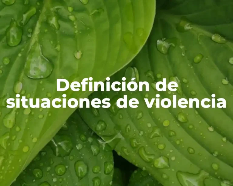 Definición de situaciones de violencia
