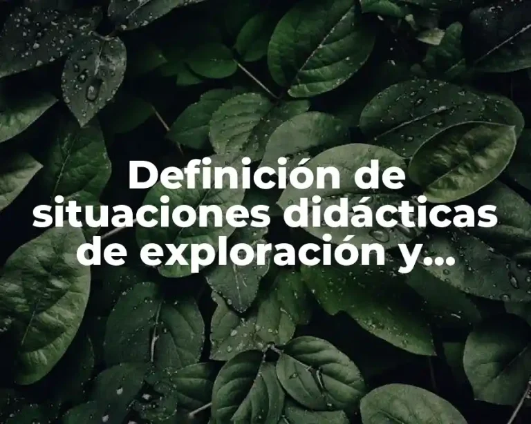 Definición de situaciones didácticas de exploración y conocimiento del mundo