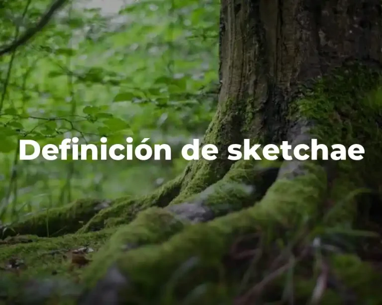 Definición de sketchae