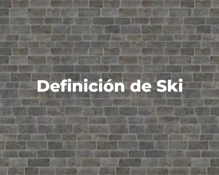 Definición de Ski