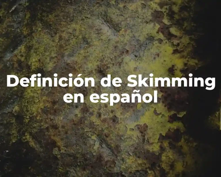 Definición de Skimming en español
